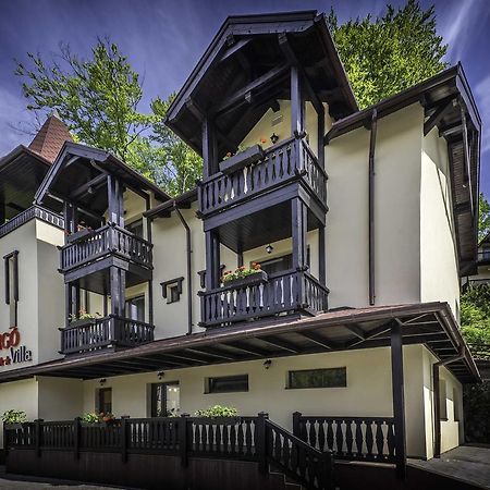 Vila Rigo Szováta Kültér fotó