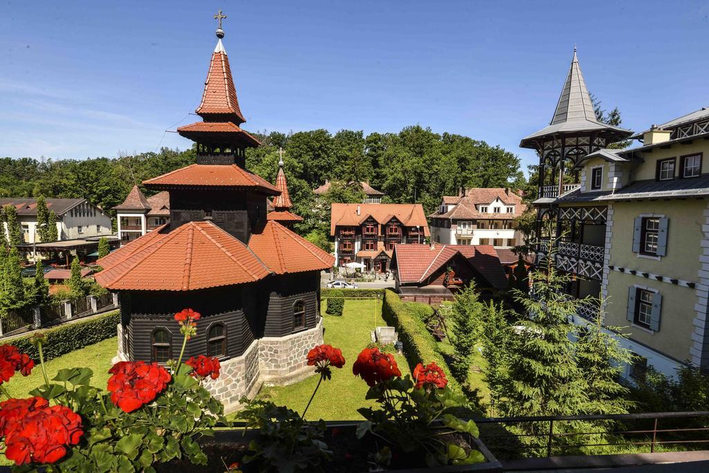 Vila Rigo Szováta Kültér fotó
