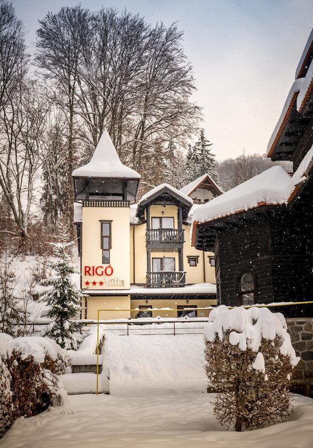 Vila Rigo Szováta Kültér fotó